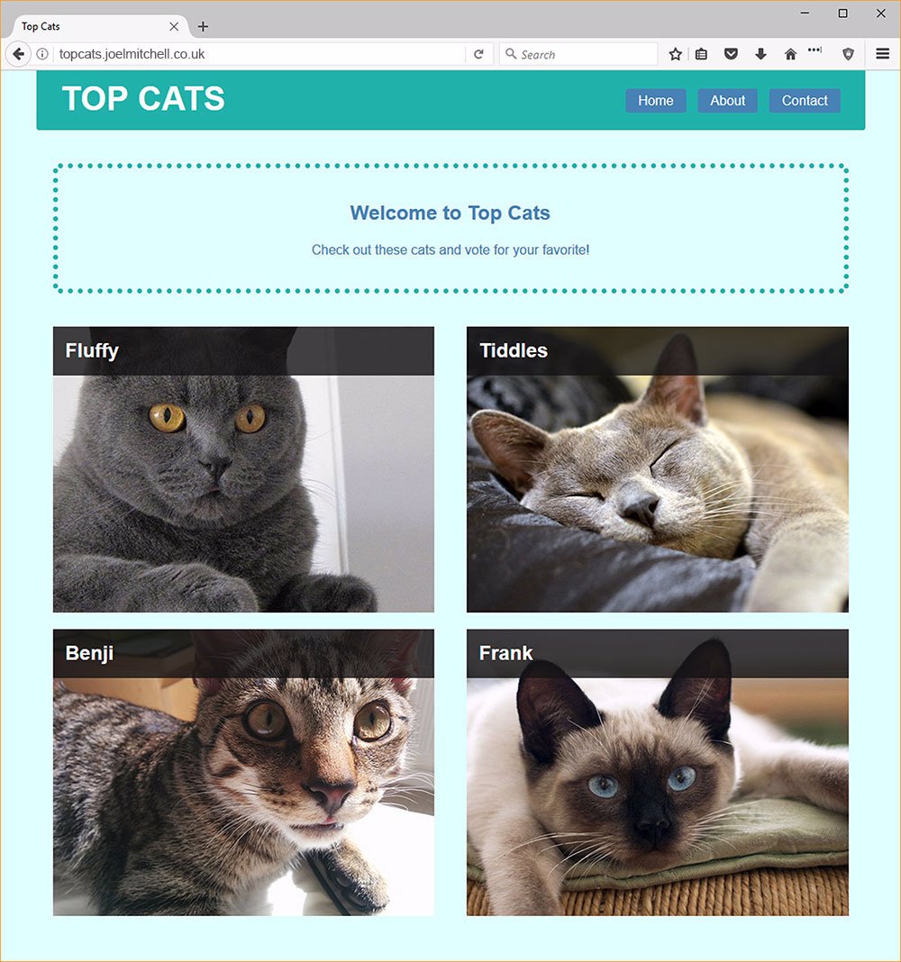 The complete Top Cats page