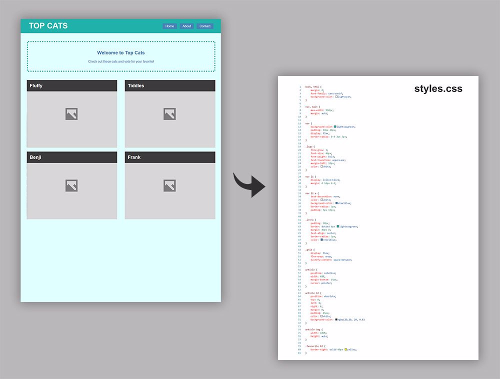 An example code file with rendered view on the front and the css code on the back