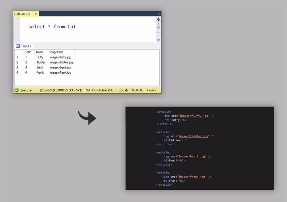 The sql example has the data query on the front and the transformed html template code on the back